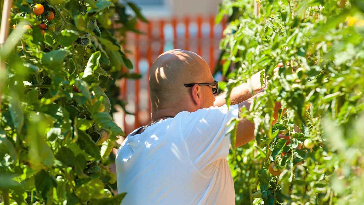 Deni története a nyirokrák diagnózisáról, kemoterápiáról és a gyógyulás útjáról